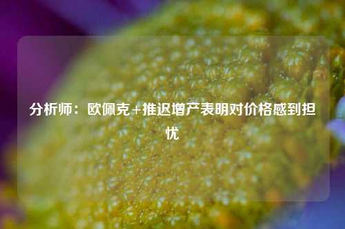 分析师：欧佩克+推迟增产表明对价格感到担忧