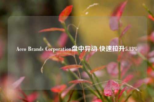 Acco Brands Corporation盘中异动 快速拉升5.13%