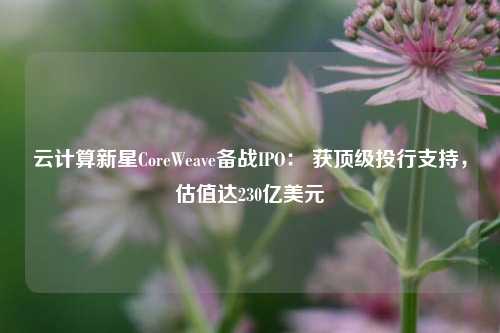 云计算新星CoreWeave备战IPO： 获顶级投行支持，估值达230亿美元