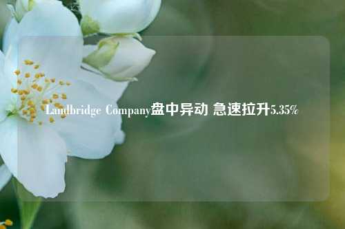 Landbridge Company盘中异动 急速拉升5.35%