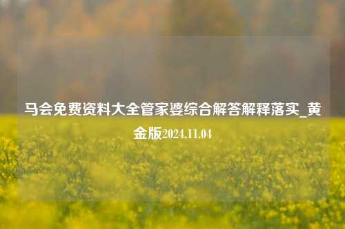 马会免费资料大全管家婆综合解答解释落实_黄金版2024.11.04