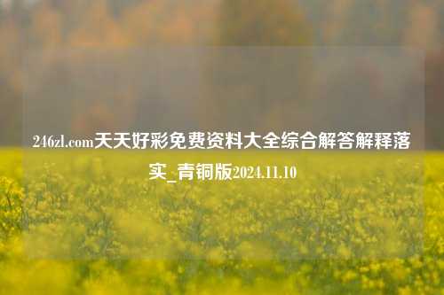 246zl.com天天好彩免费资料大全综合解答解释落实_青铜版2024.11.10