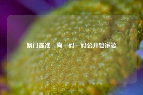 澳门最准一肖一码一码公开管家婆