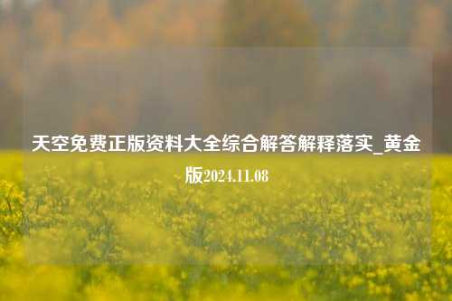 天空免费正版资料大全综合解答解释落实_黄金版2024.11.08