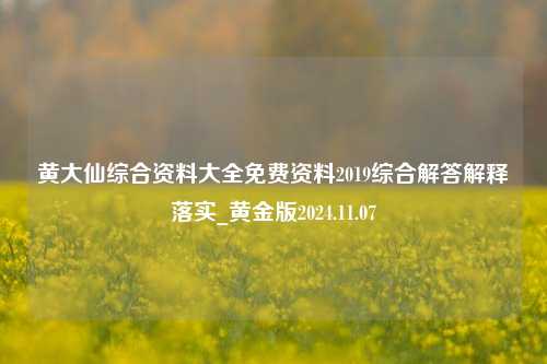 黄大仙综合资料大全免费资料2019综合解答解释落实_黄金版2024.11.07