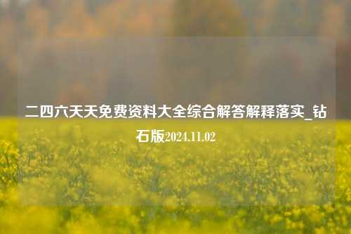 二四六天天免费资料大全综合解答解释落实_钻石版2024.11.02