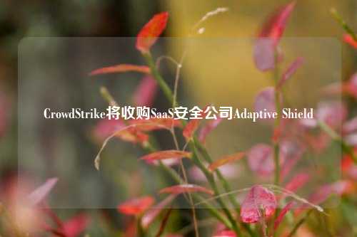 CrowdStrike将收购SaaS安全公司Adaptive Shield