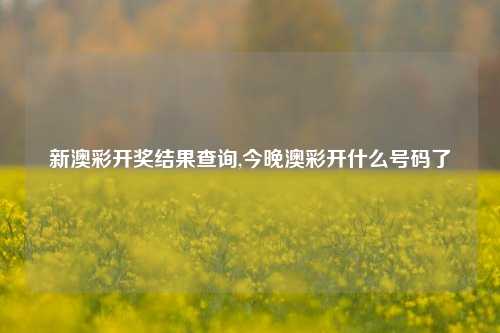 新澳彩开奖结果查询,今晚澳彩开什么号码了