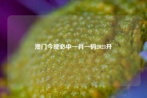 澳门今晚必中一肖一码2023开