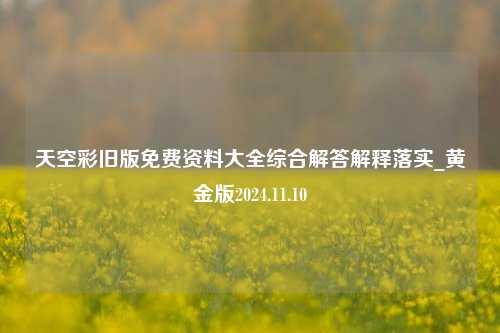 天空彩旧版免费资料大全综合解答解释落实_黄金版2024.11.10