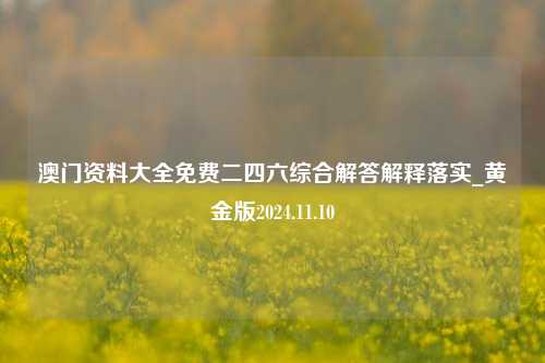 澳门资料大全免费二四六综合解答解释落实_黄金版2024.11.10