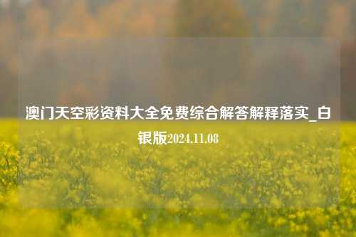 澳门天空彩资料大全免费综合解答解释落实_白银版2024.11.08