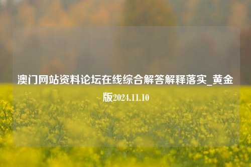 澳门网站资料论坛在线综合解答解释落实_黄金版2024.11.10