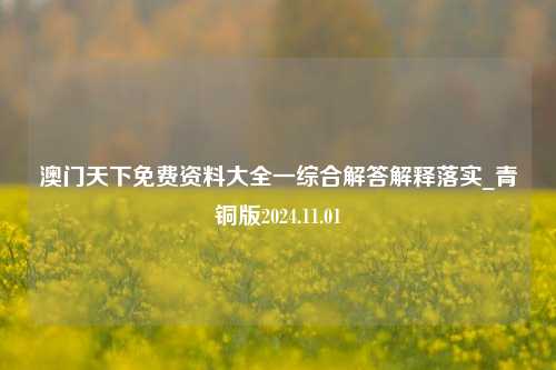 澳门天下免费资料大全一综合解答解释落实_青铜版2024.11.01