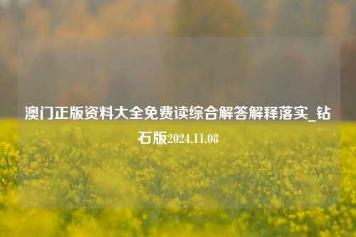 澳门正版资料大全免费读综合解答解释落实_钻石版2024.11.08