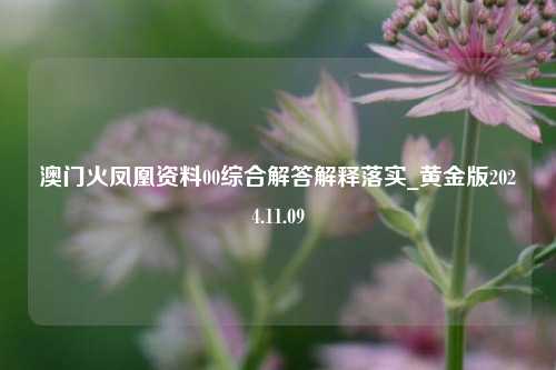 澳门火凤凰资料00综合解答解释落实_黄金版2024.11.09