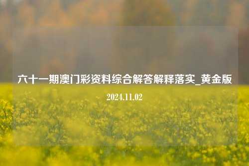 六十一期澳门彩资料综合解答解释落实_黄金版2024.11.02