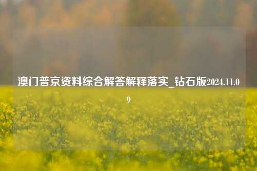 澳门普京资料综合解答解释落实_钻石版2024.11.09