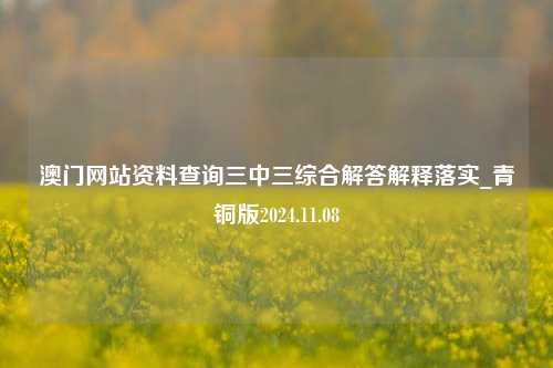 澳门网站资料查询三中三综合解答解释落实_青铜版2024.11.08