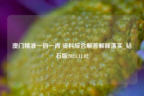 澳门精准一码一肖 资料