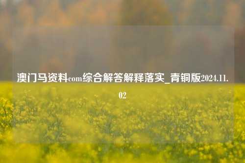 澳门马资料com综合解答解释落实_青铜版2024.11.02