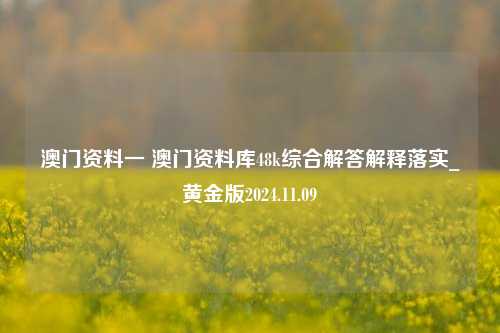 澳门资料一 澳门资料库48k综合解答解释落实_黄金版2024.11.09