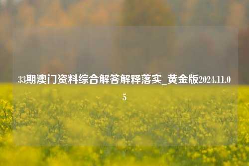 33期澳门资料综合解答解释落实_黄金版2024.11.05