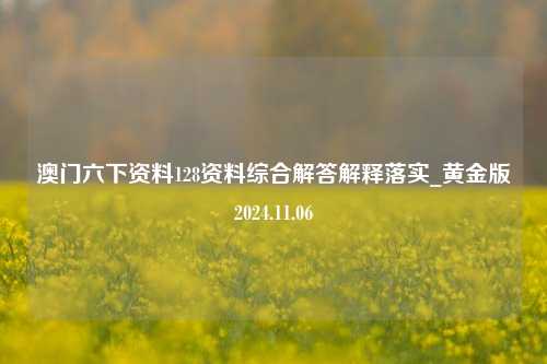 澳门六下资料128资料综合解答解释落实_黄金版2024.11.06