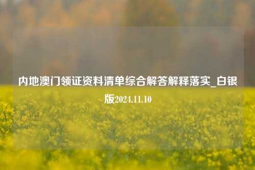 内地澳门领证资料清单综合解答解释落实_白银版2024.11.10