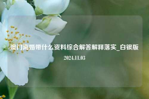 澳门离婚带什么资料综合解答解释落实_白银版2024.11.03