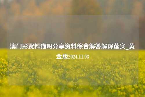 澳门彩资料猫哥分享资料综合解答解释落实_黄金版2024.11.03