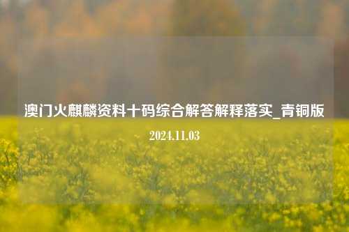 澳门火麒麟资料十码综合解答解释落实_青铜版2024.11.03