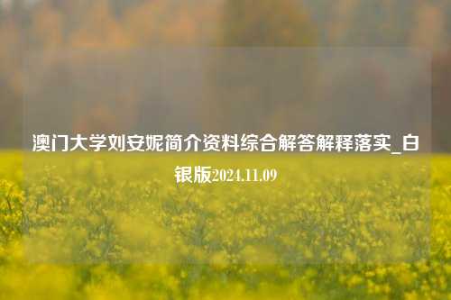 澳门大学刘安妮简介资料综合解答解释落实_白银版2024.11.09