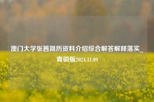 澳门大学张茜简历资料介绍综合解答解释落实_青铜版2024.11.09