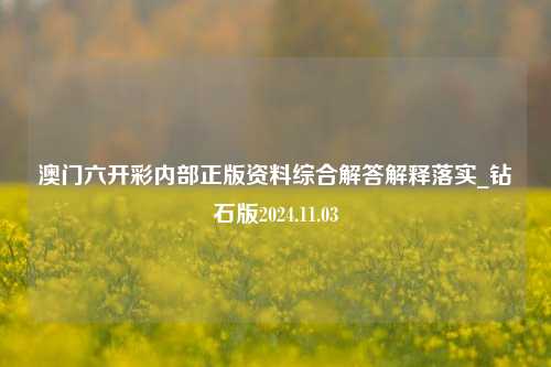 澳门六开彩内部正版资料综合解答解释落实_钻石版2024.11.03