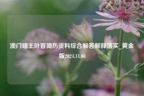 澳门赌王叶晋简历资料综合解答解释落实_黄金版2024.11.08