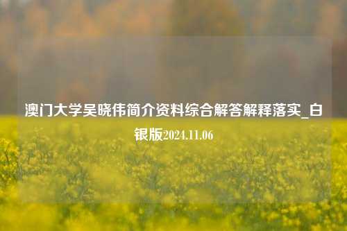 澳门大学吴晓伟简介资料综合解答解释落实_白银版2024.11.06