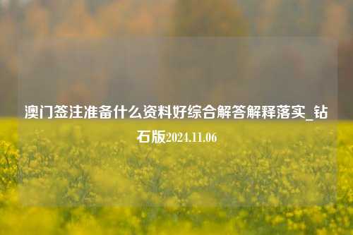 澳门签注准备什么资料好综合解答解释落实_钻石版2024.11.06