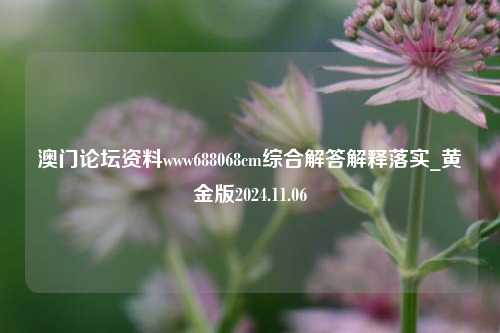 澳门论坛资料www688068cm综合解答解释落实_黄金版2024.11.06