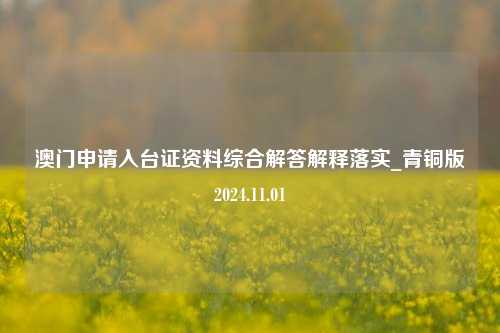 澳门申请入台证资料综合解答解释落实_青铜版2024.11.01