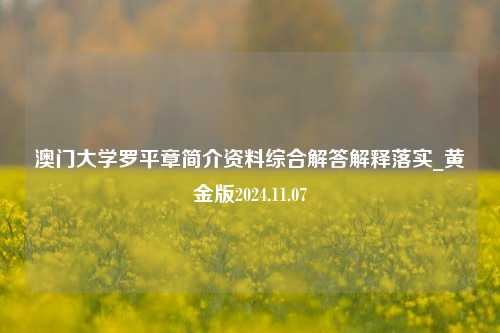 澳门大学罗平章简介资料综合解答解释落实_黄金版2024.11.07