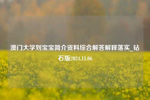 澳门大学刘宝宝简介资料综合解答解释落实_钻石版2024.11.06