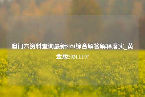 澳门六资料查询最新2024综合解答解释落实_黄金版2024.11.07