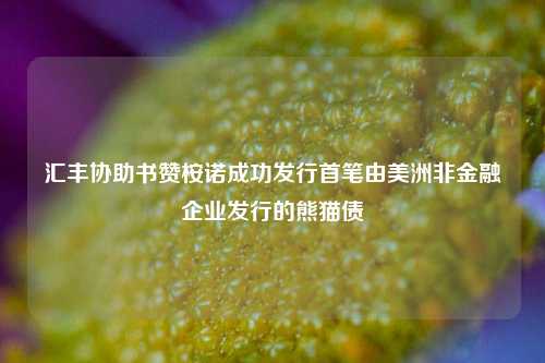 汇丰协助书赞桉诺成功发行首笔由美洲非金融企业发行的熊猫债