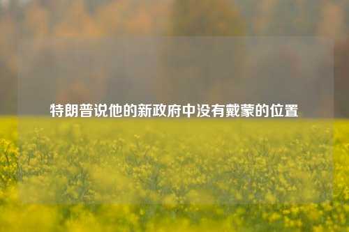 特朗普说他的新政府中没有戴蒙的位置