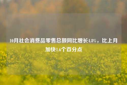 10月社会消费品零售总额同比增长4.8%，比上月加快1.6个百分点