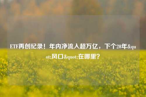 ETF再创纪录！年内净流入超万亿，下个20年"风口"在哪里？