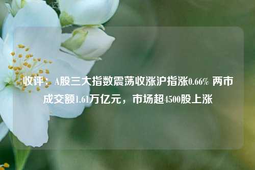 收评：A股三大指数震荡收涨沪指涨0.66% 两市成交额1.61万亿元，市场超4500股上涨