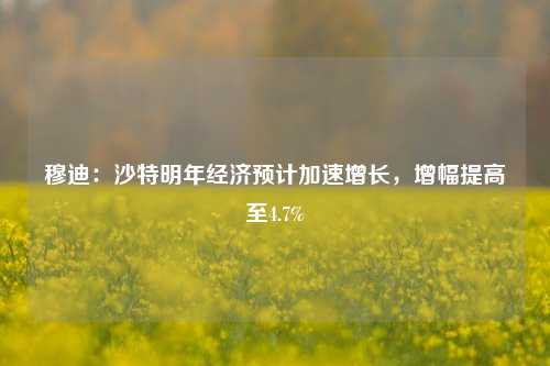 穆迪：沙特明年经济预计加速增长，增幅提高至4.7%