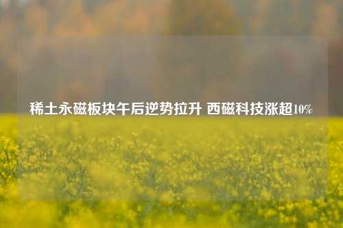 稀土永磁板块午后逆势拉升 西磁科技涨超10%